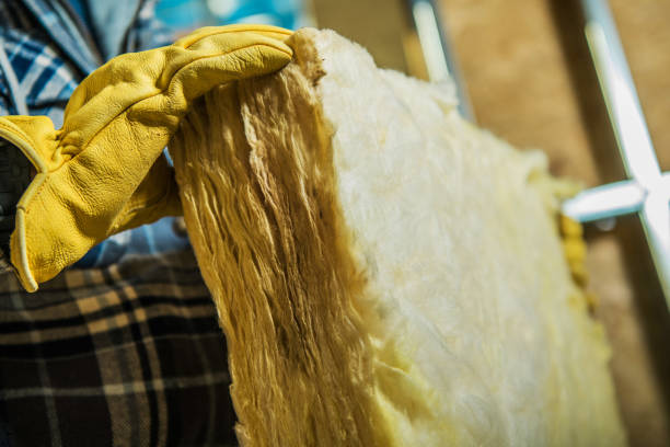 Best Geographic-Specific Insulation Services in North Catasauqua, PA