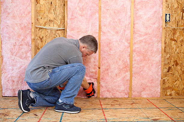 Best Specialized Insulation Services in North Catasauqua, PA